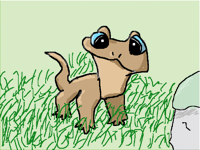 Gekko