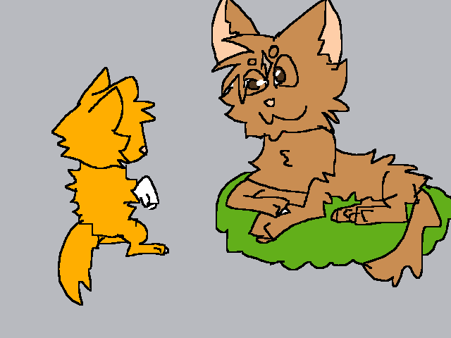 Warrior cats wip