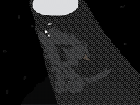 Do you like wolwes