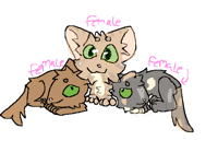 Mes trois chats