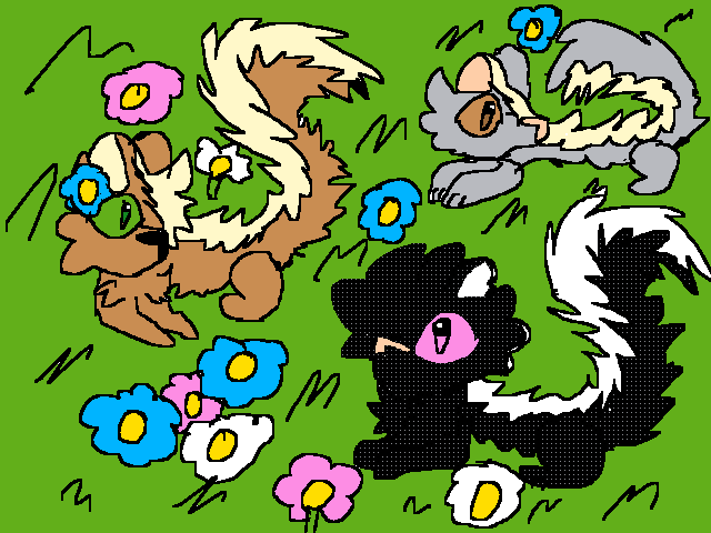 Skunks