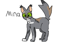 Draw your own cat collab