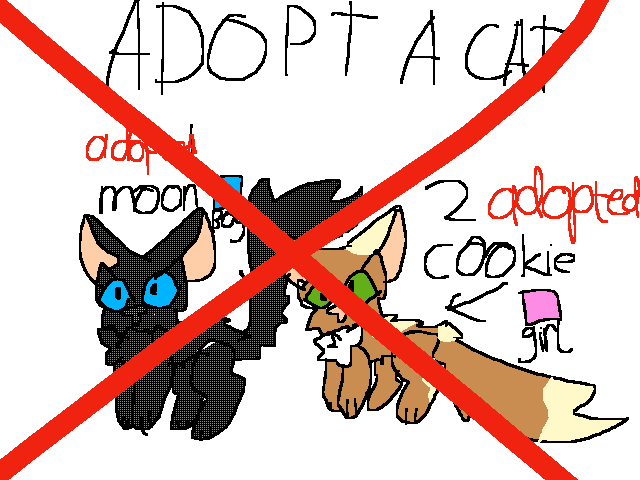 Adopt a cat