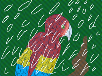 Rain( New contest entry)