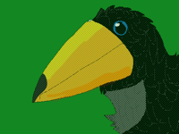 Toucan