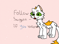 Follow sugariri if YOU want