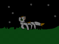 Cherrytail running