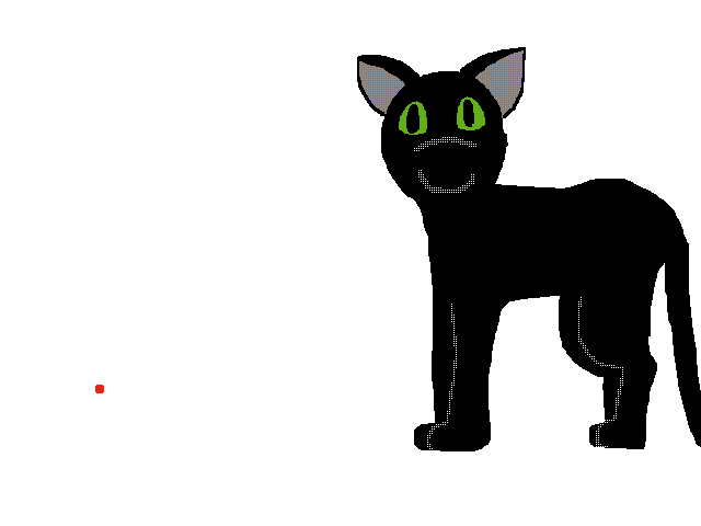 Cat playing with light