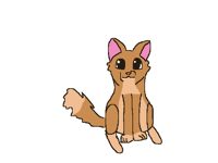 Guys we actually did it