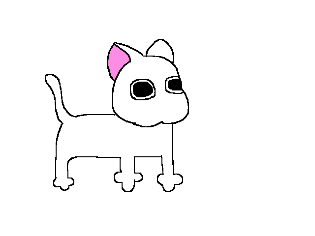 Random anim