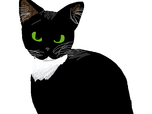 Drawing of my cat