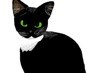 Drawing of my cat