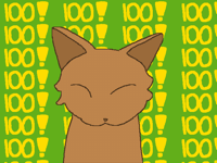 100 follows!!