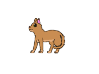 What should I add to my oc?