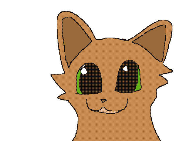 What do you guys get for Christmas