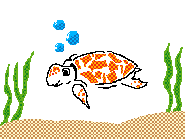 the turtle