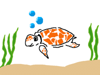 the turtle