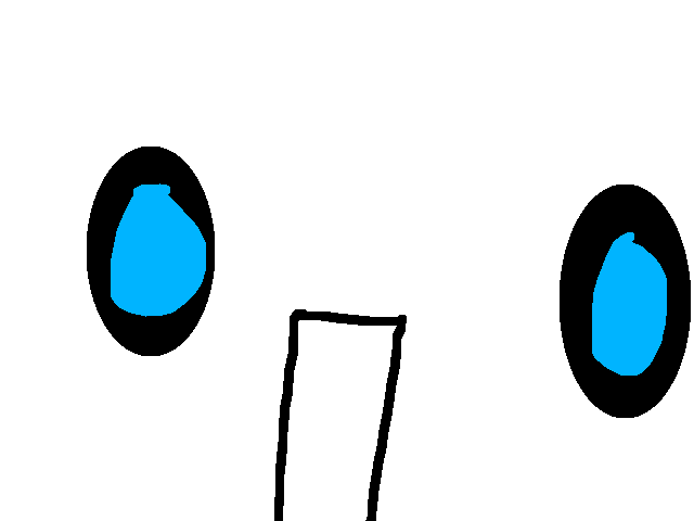 spieglung