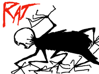 Rat