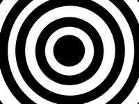 Illusion (contest ig)