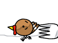 “RUN, TURKEY, RUN!!”