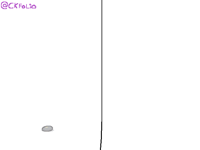 Draw this really cool pebble i found