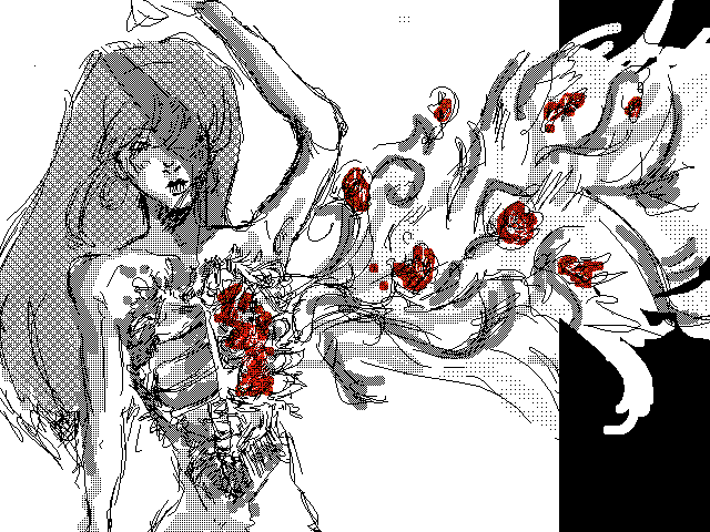 XIV. || bloom