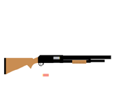 shotgun