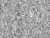 can you see the face?