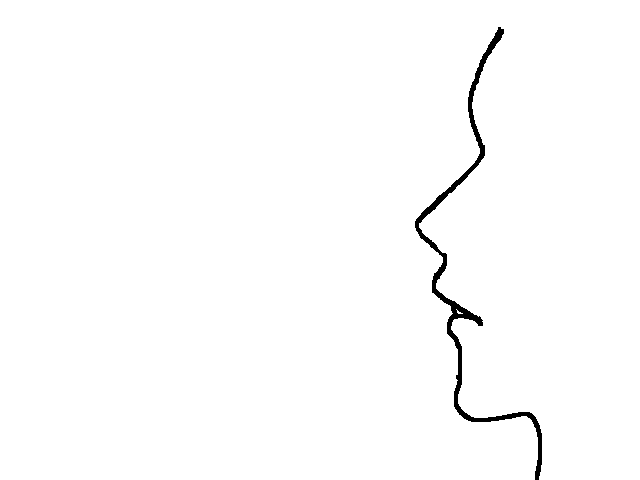 profile