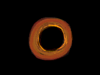 a secret scene in my entry