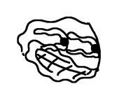 Wind