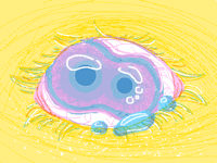 Eyeballz