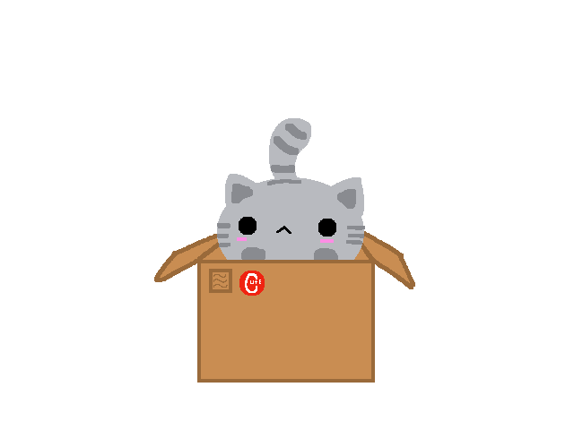 Cat in a box