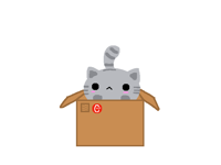 Cat in a box