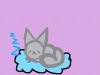 Sleeping cat