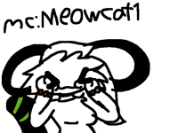 Friend me on animal jam and Minecraft!!