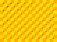 This was supposed to be an illusion but it failed