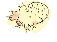 THERE MIGHT BE BUGS UNDER MY SKIN RN