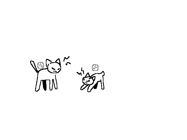 So this is what my cats see right?