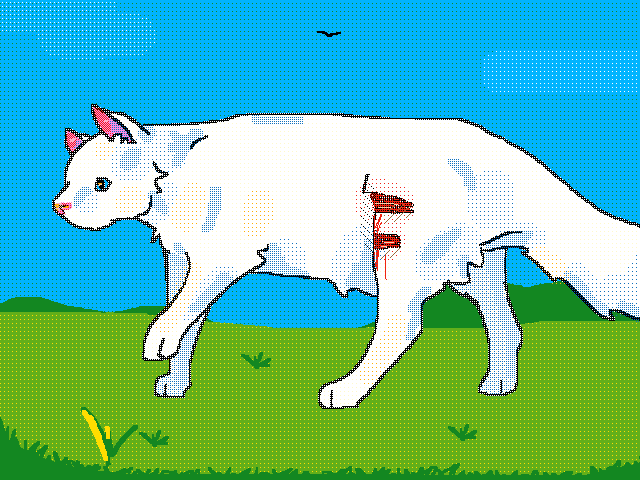 Limping cat