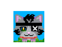 Pirate