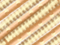 Chocolat