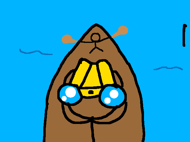 Les pirates 🏴‍☠️ qui cherchent le trésor