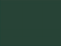 I didn't fill with black, blue, green and gray