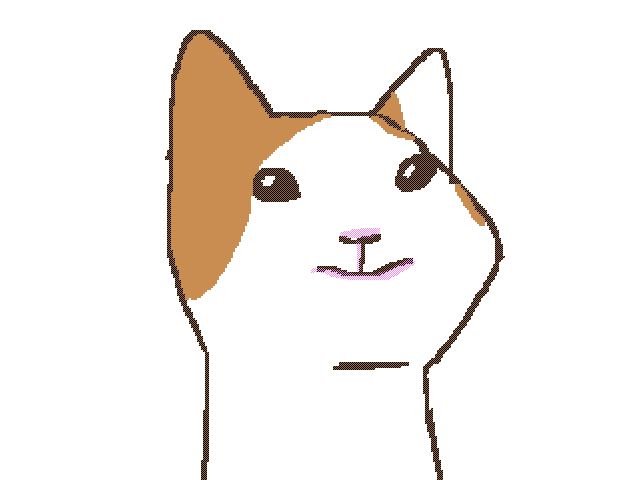 Cat 🐈