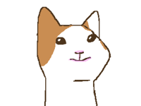 Cat 🐈