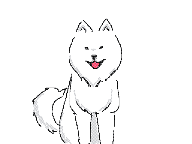 Samoyed 🦮
