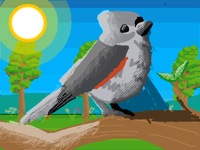 Cute bird scene