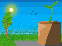 Plant scene